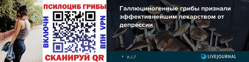 Псилоцибиновые грибы Magic Shrooms купить наркотики цена Михайловск