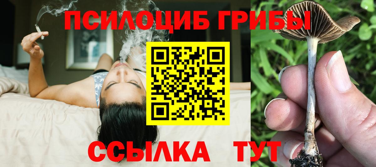 Псилоцибиновые грибы мицелий  Вход с VPN  Михайловск 