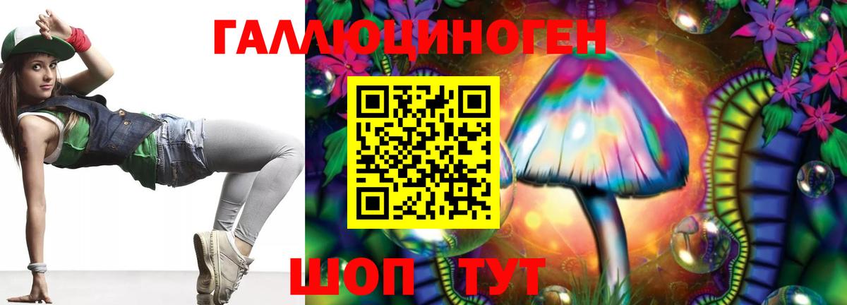 Псилоцибиновые грибы Psilocybine cubensis Михайловск