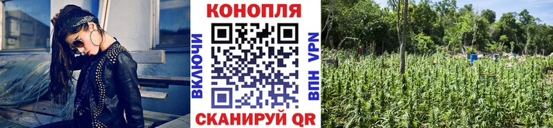 что такое наркотик  Михайловск  Каннабис конопля 